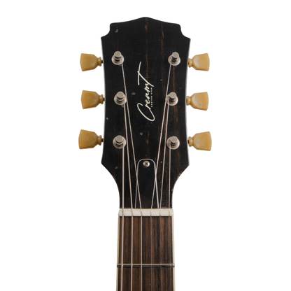 APOLLO GUITAR-X PICKUP SWAPPING - ICED TEA AGED