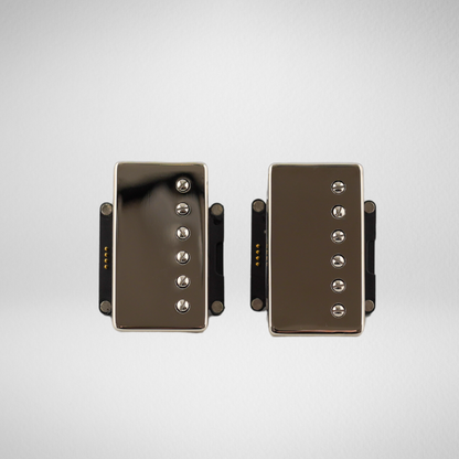 DT Derek Trucks with Guitar-X Pickup Swapping Mounts