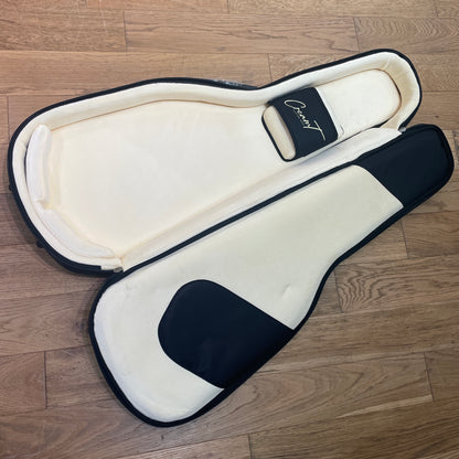 Deluxe Padded Gigbag